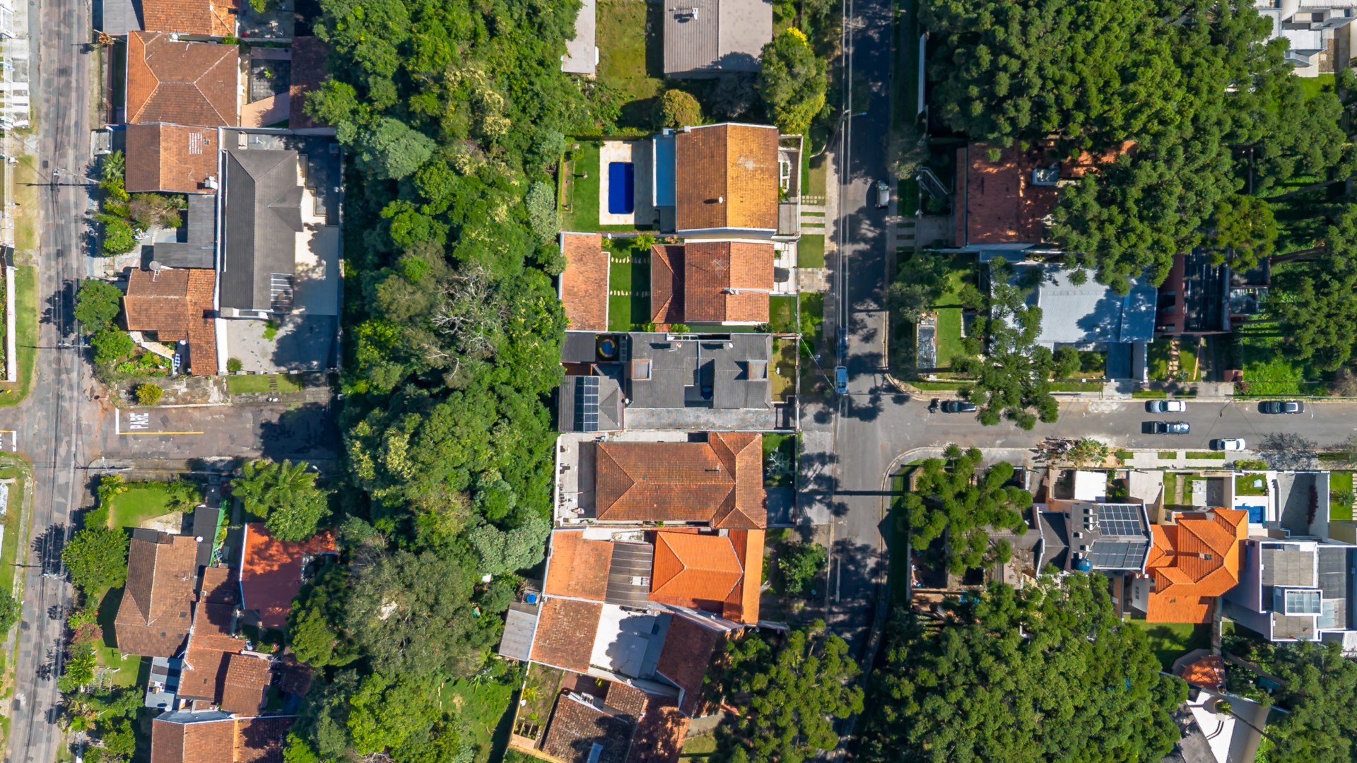 DJI_0631.jpg
