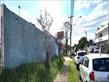 IMG-20250506-WA0006.jpg