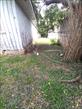 IMG-20250513-WA0025.jpg