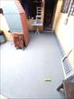 IMG-20250514-WA0009.jpg