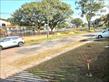 IMG-20250530-WA0009.jpg