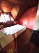 IMG-20250617-WA0055.jpg