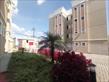 45647.jpg