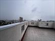 IMG_8387.JPEG