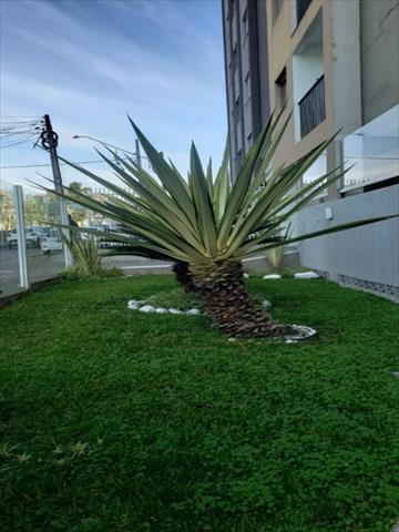 Apartamento para locacao no Portao em Curitiba com 76,3m² por R$ 2.250,00