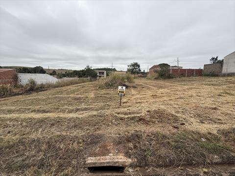 Terreno para venda no Jardim Nova Floresta em Floresta com 320m² por R$ 100.000,00