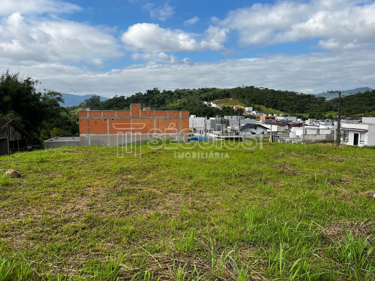 PHOTO-2024-07-22-09-17-52 3.jpg