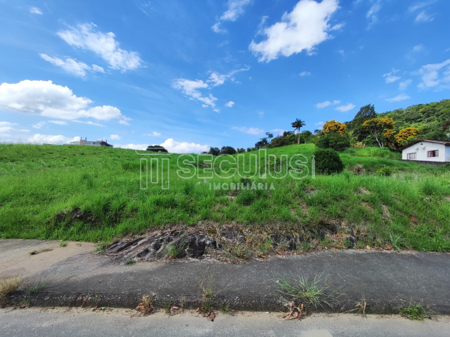 WhatsApp Image 2023-03-23 at 16.51.05.jpeg