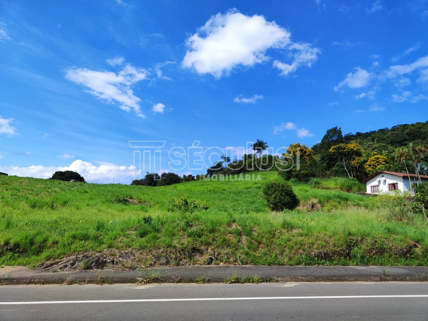 WhatsApp Image 2023-03-23 at 16.51.06(2).jpeg