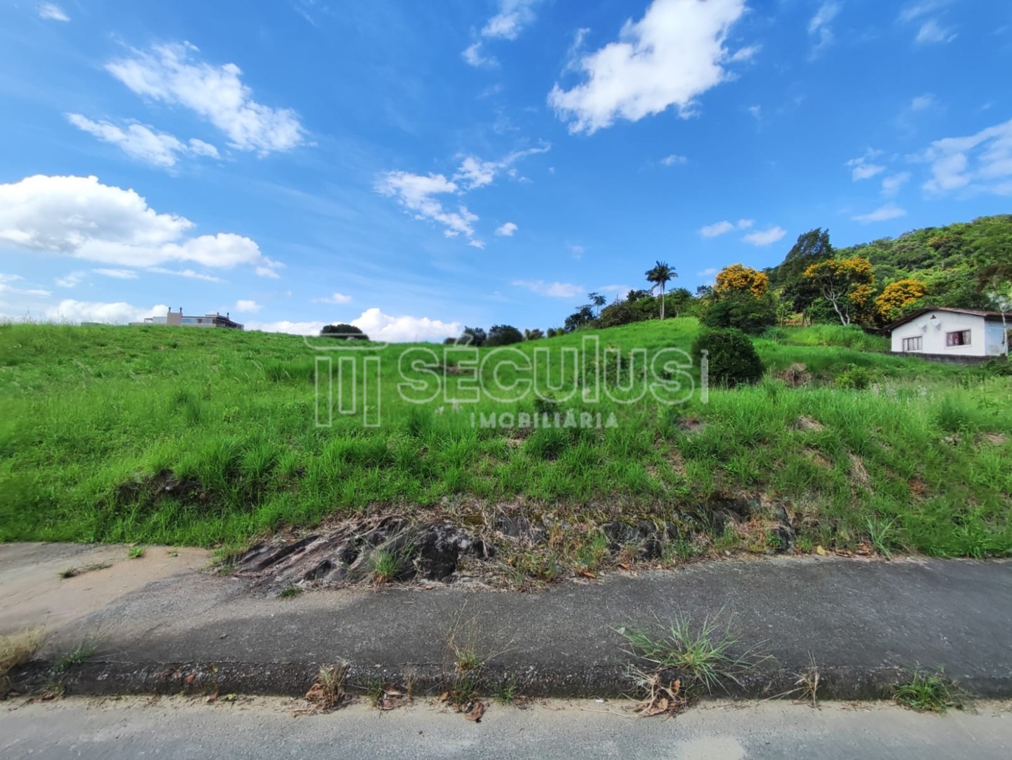 WhatsApp Image 2023-03-23 at 16.51.06.jpeg