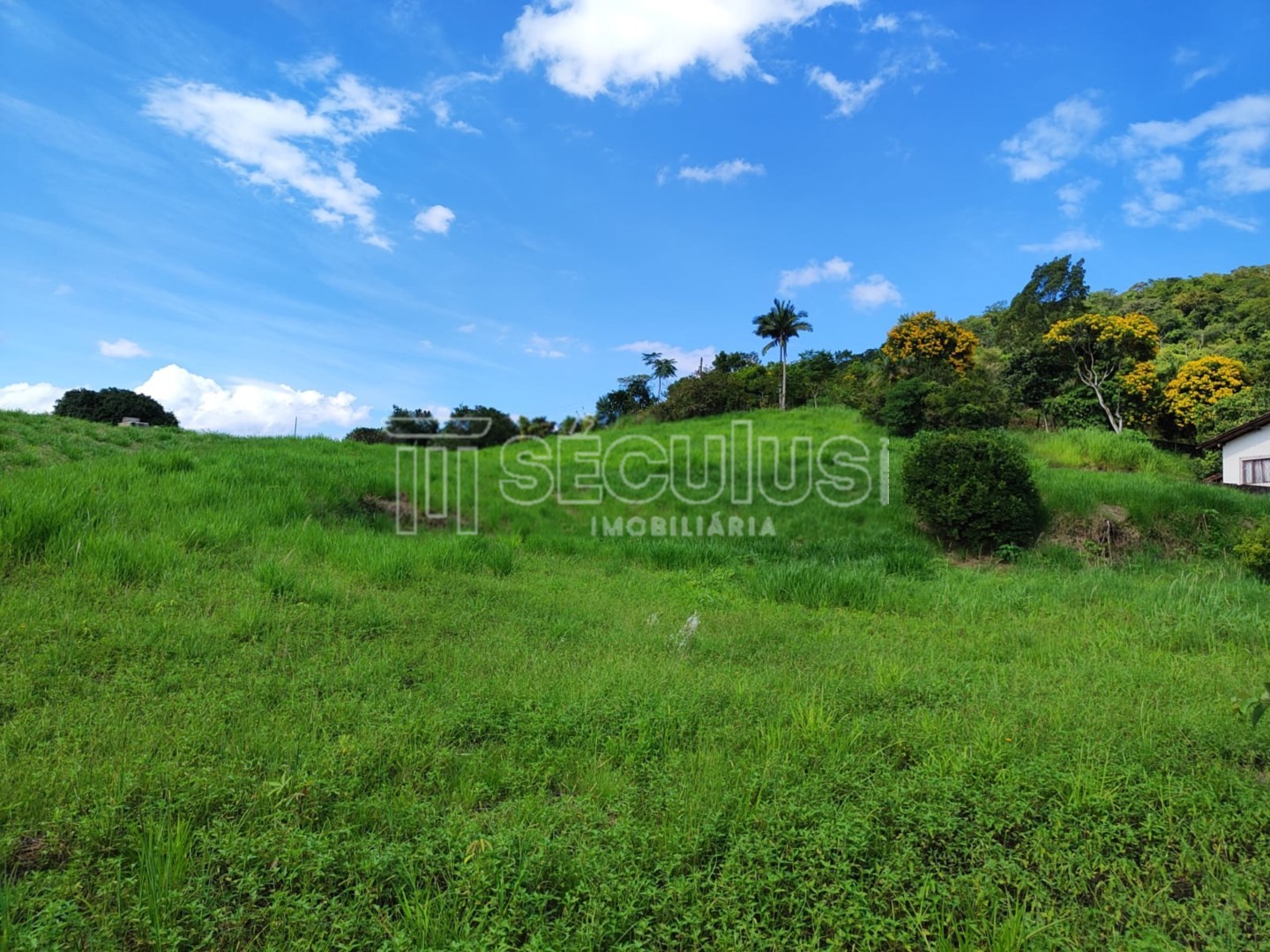 WhatsApp Image 2023-03-23 at 16.51.07.jpeg