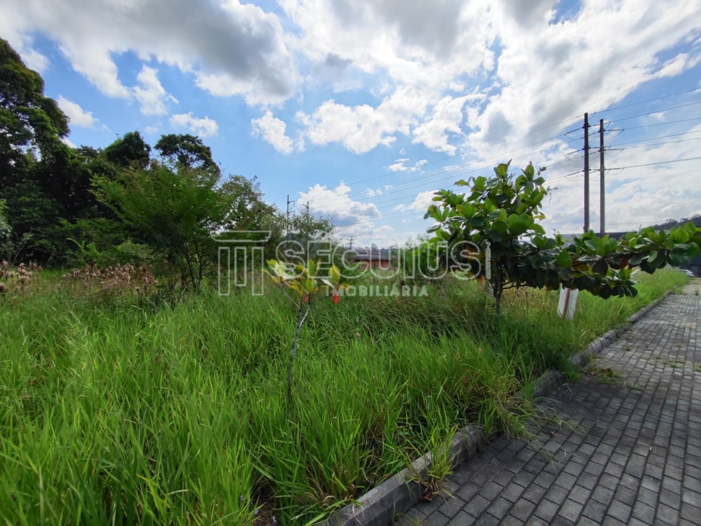 WhatsApp Image 2023-03-23 at 16.51.09(1).jpeg