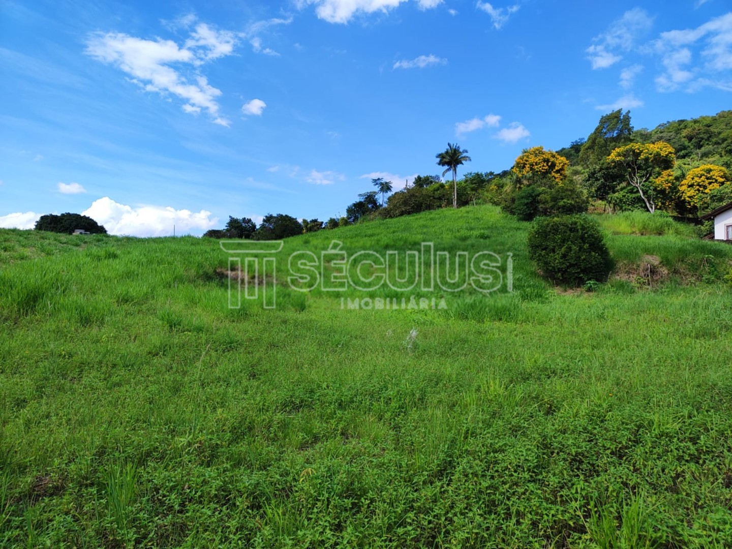 WhatsApp Image 2023-03-23 at 16.51.09(2).jpeg