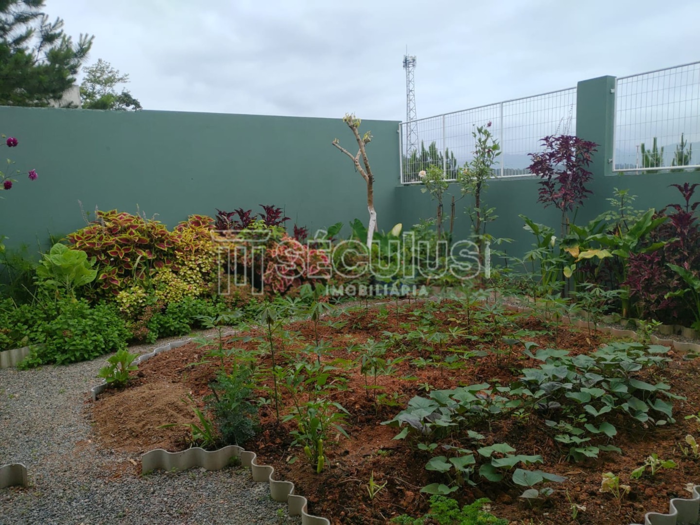 WhatsApp Image 2021-12-16 at 10.15.24 (11).jpeg