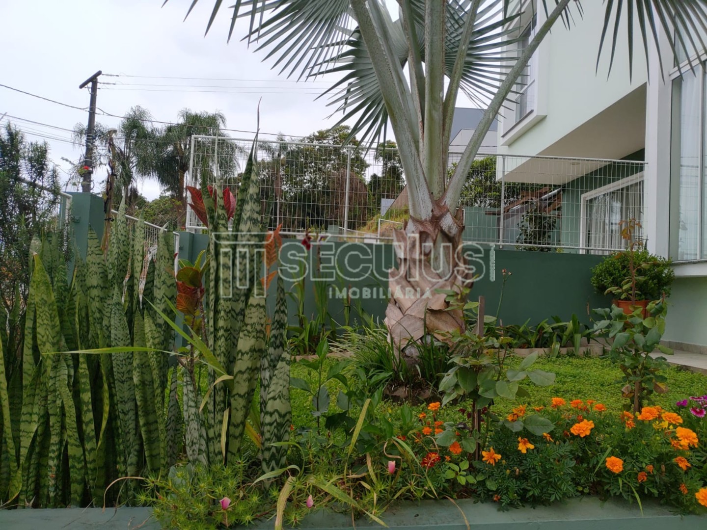 WhatsApp Image 2021-12-16 at 10.15.25 (1).jpeg