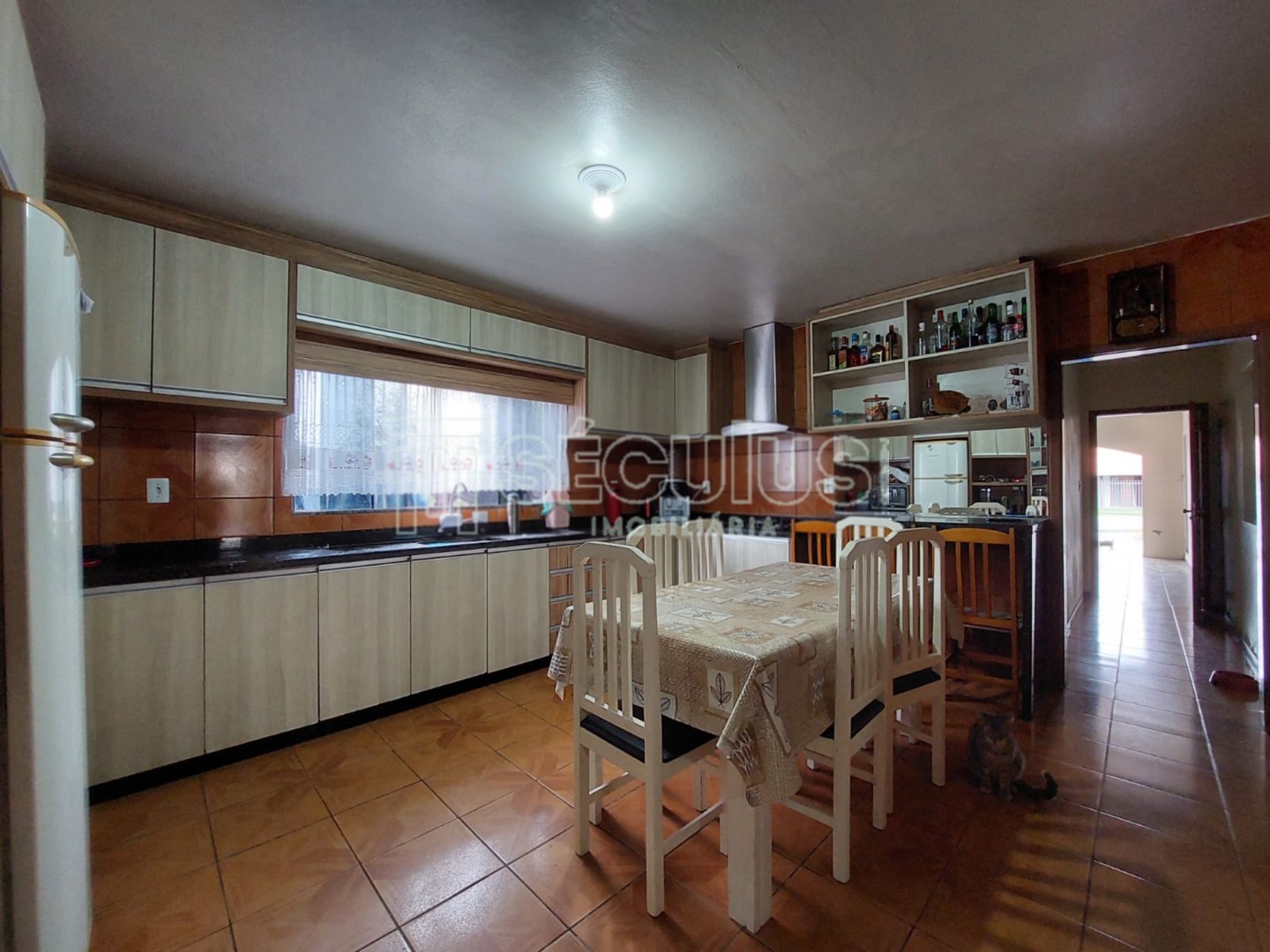 WhatsApp Image 2022-08-11 at 15.51.28(1).jpeg