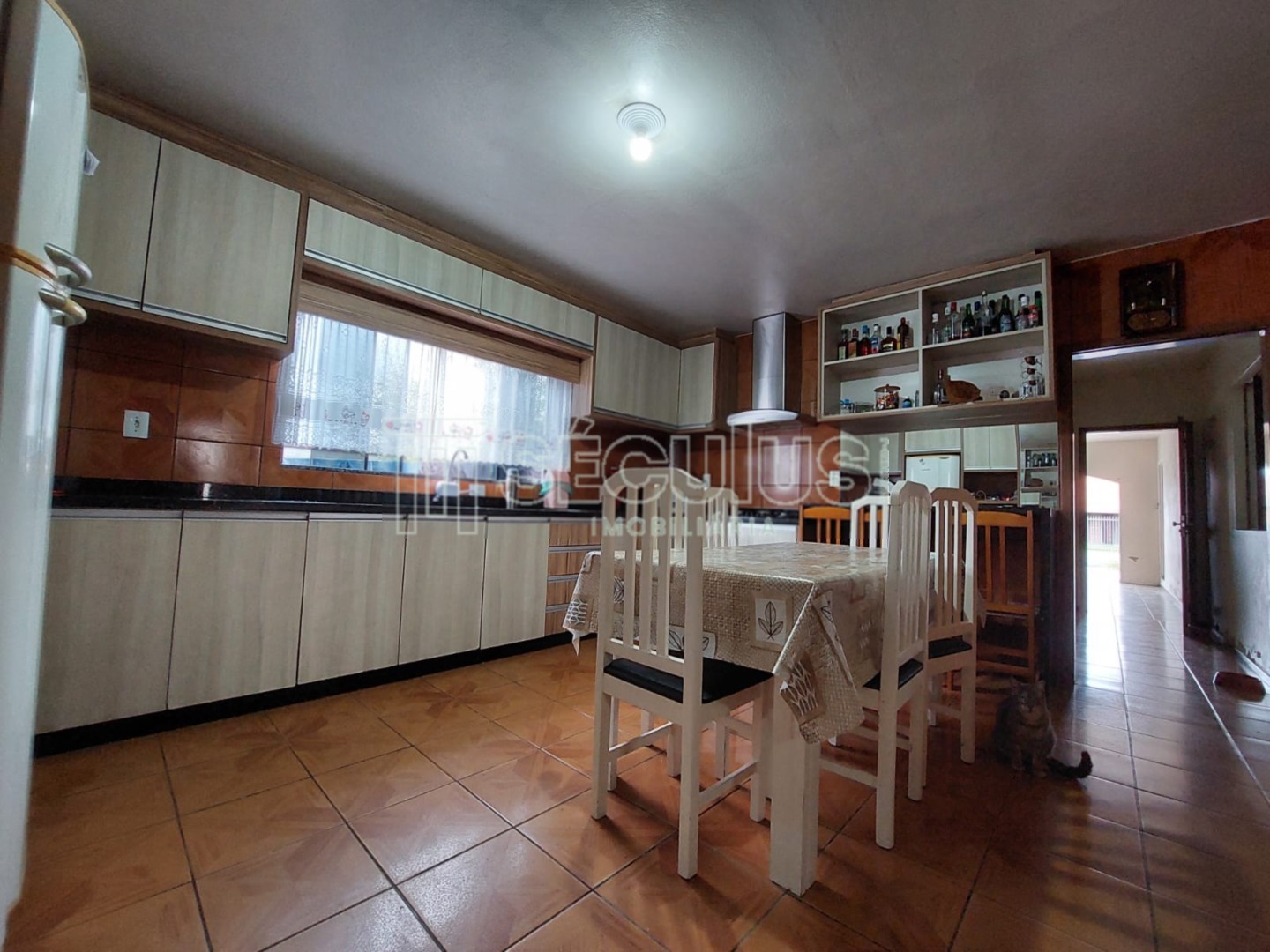 WhatsApp Image 2022-08-11 at 15.51.28(2).jpeg