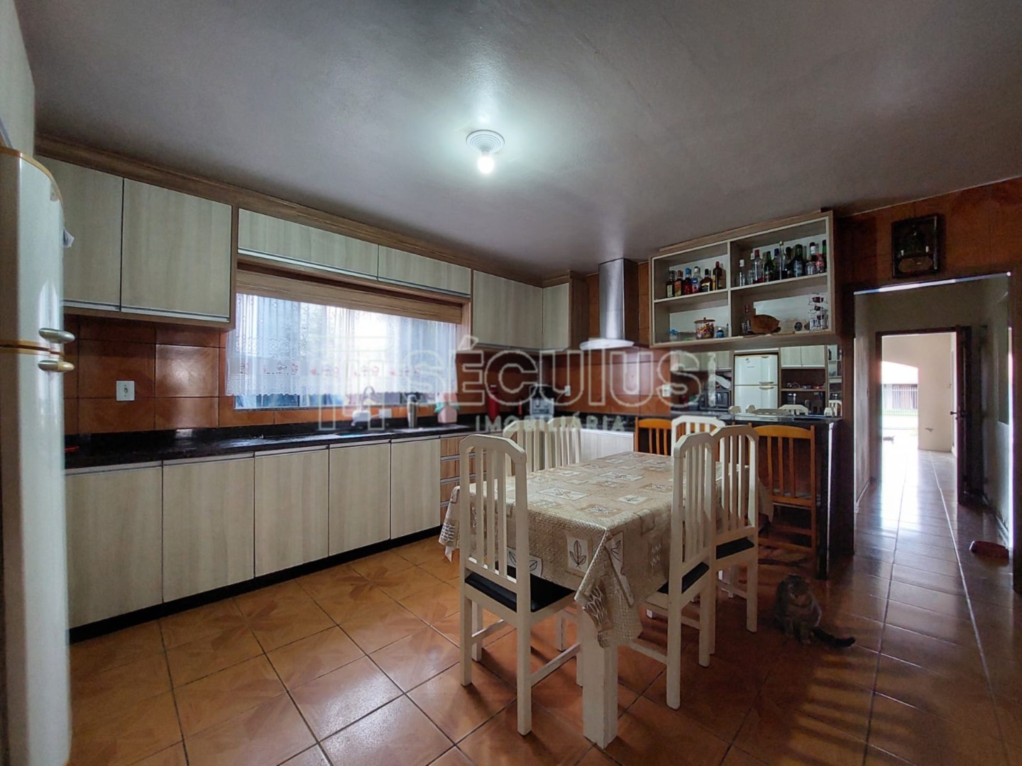 WhatsApp Image 2022-08-11 at 15.51.28.jpeg