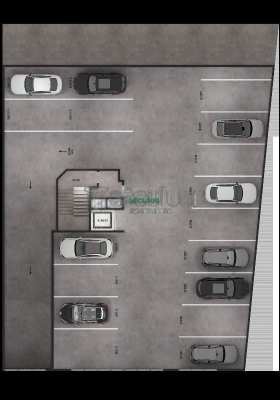 planta-g-1.jpeg