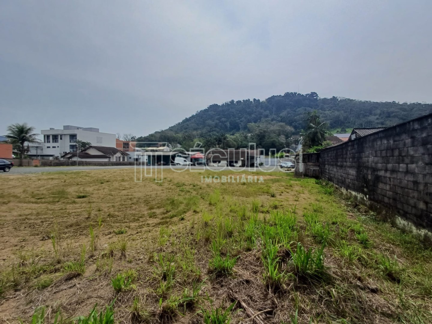 WhatsApp Image 2024-10-07 at 17.31.13.jpeg