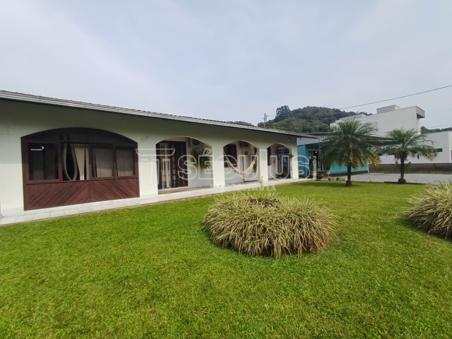 WhatsApp Image 2024-10-07 at 17.31.45.jpeg