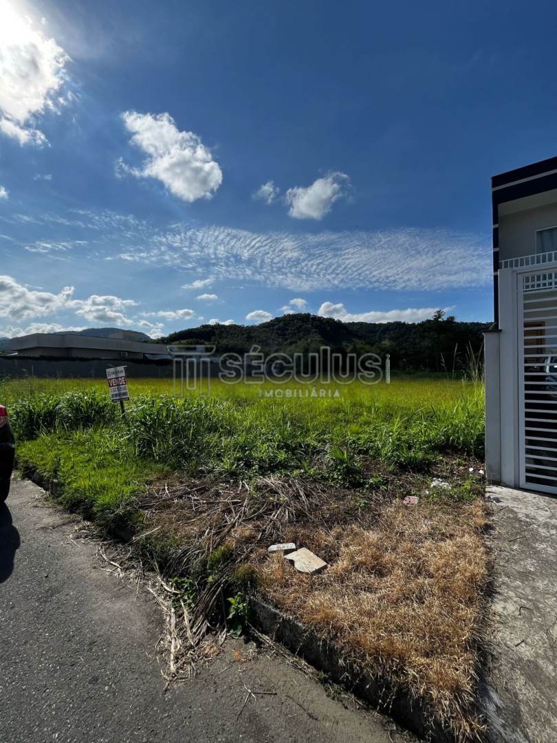 WhatsApp Image 2025-04-22 at 15.09.58.jpeg