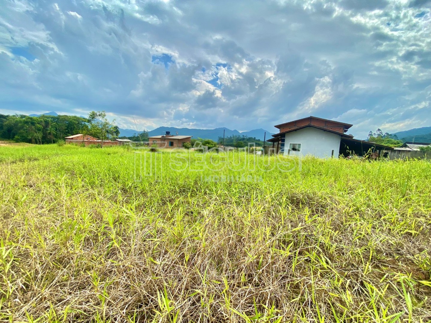 WhatsApp Image 2025-01-22 at 16.14.14 (1).jpeg