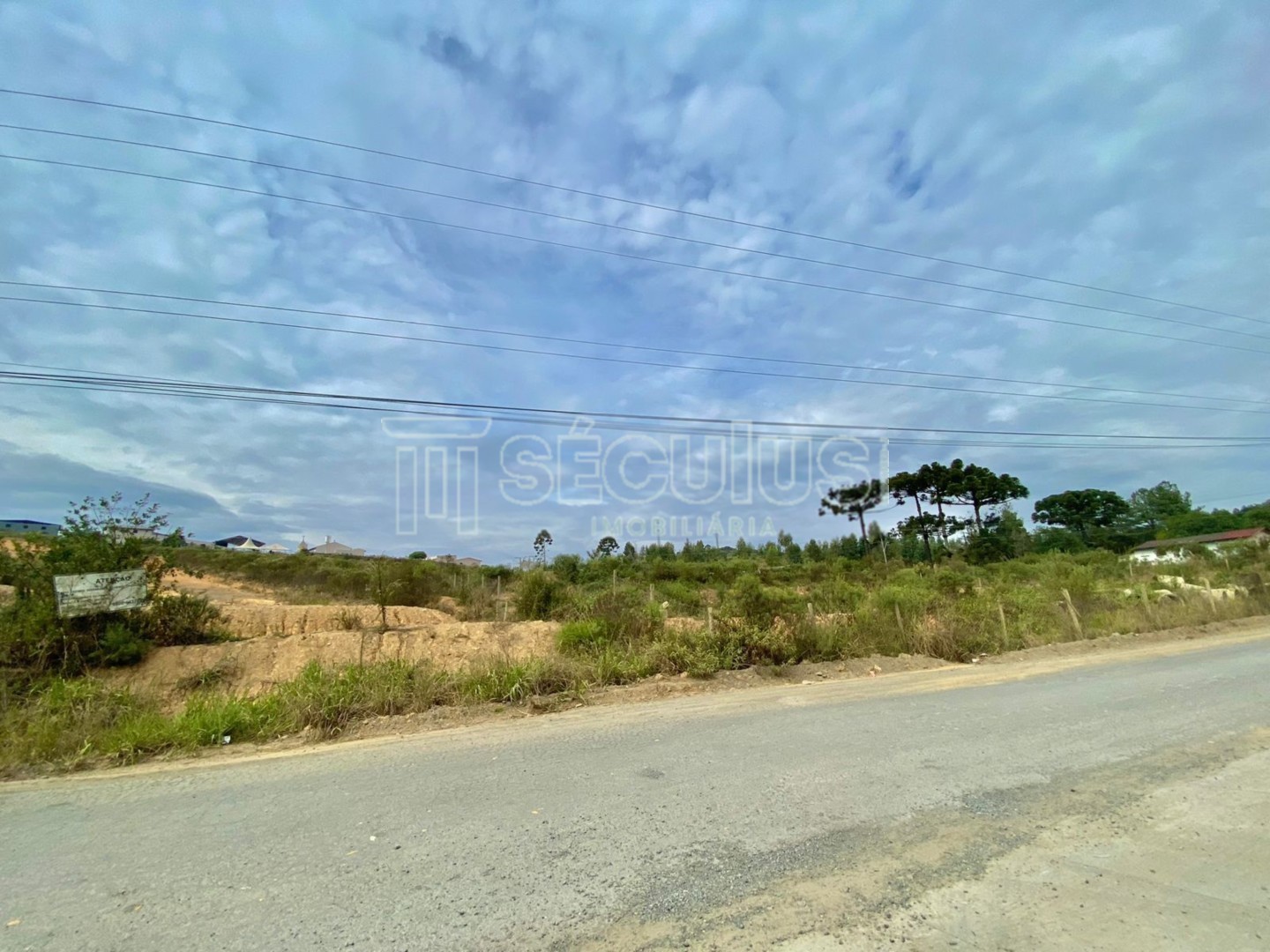 WhatsApp Image 2025-05-10 at 17.28.23.jpeg