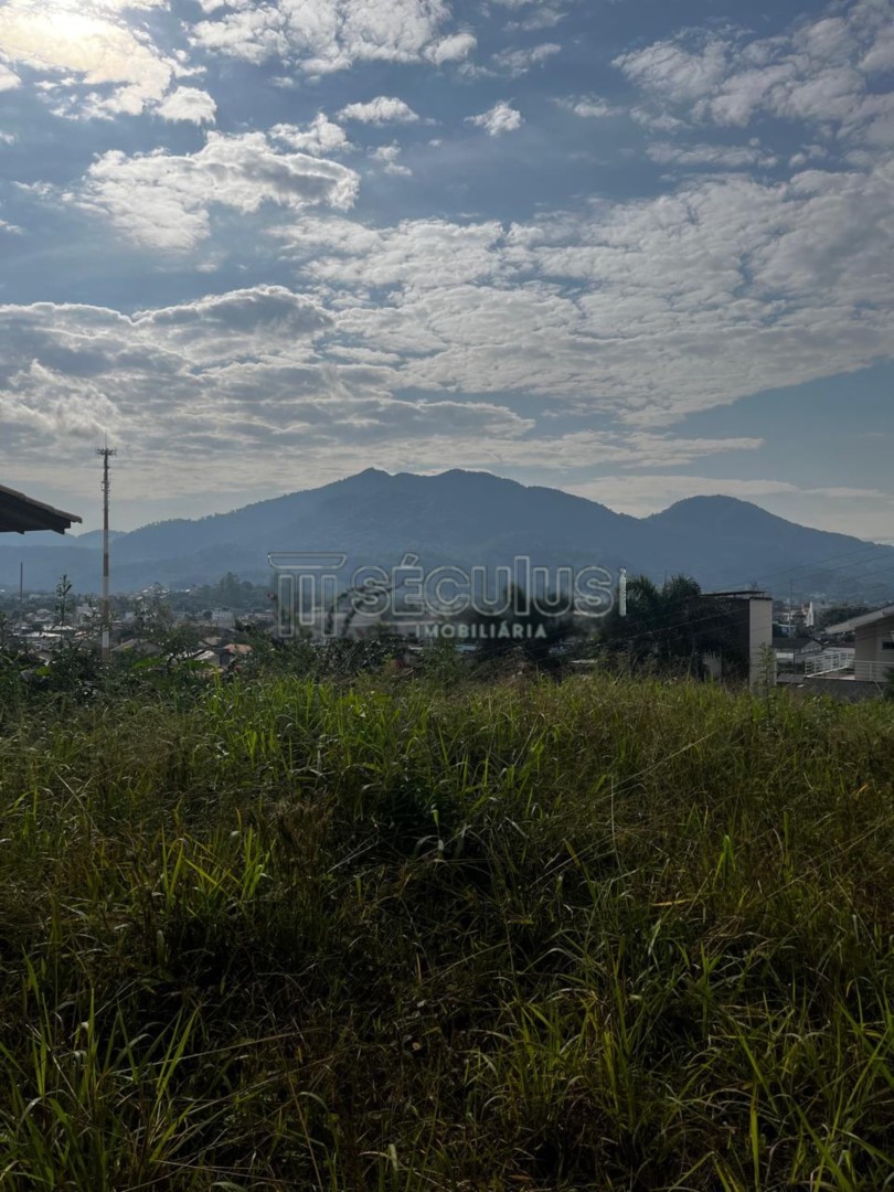 WhatsApp Image 2025-04-07 at 16.04.25.jpeg