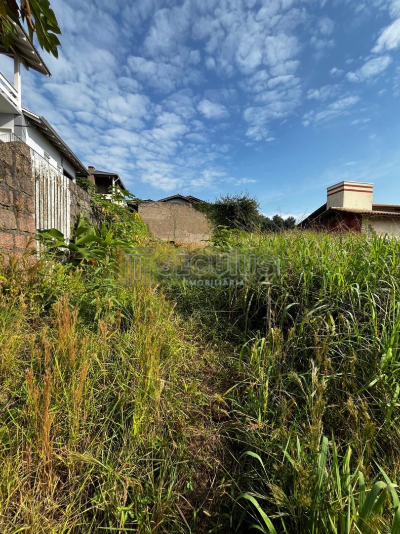 WhatsApp Image 2025-04-07 at 16.04.26 (1).jpeg