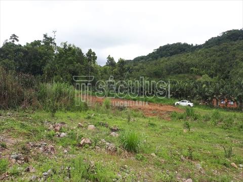 Chácara para venda no Bracinho em Schroeder com 17,000m² por R$ 350.000,00
