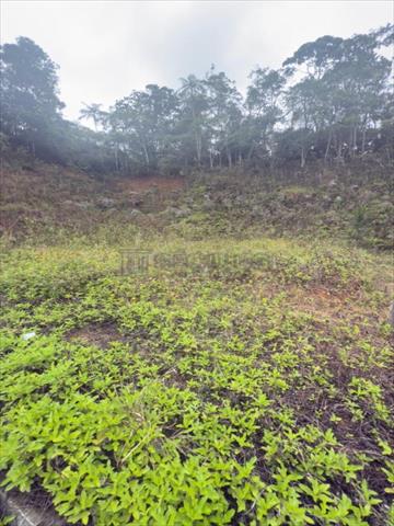 Terreno para venda no Tres Rios do Norte em Jaragua do Sul com 0m² por R$ 200.000,00