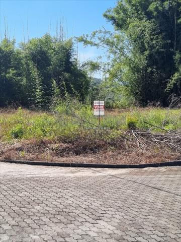 Terreno para venda no Seminário em Corupa com 376m² por R$ 207.000,00