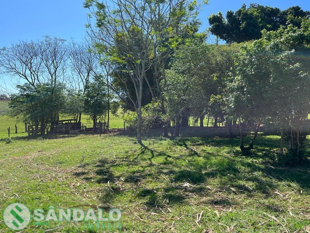 Sítio para venda no Rural em Cruzeiro do Oeste com 121.000m² por R$ 1.300.000,00