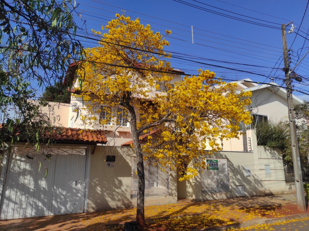Casa para venda no Jardim Real em Maringa com 378m² por R$ 1.300.000,00