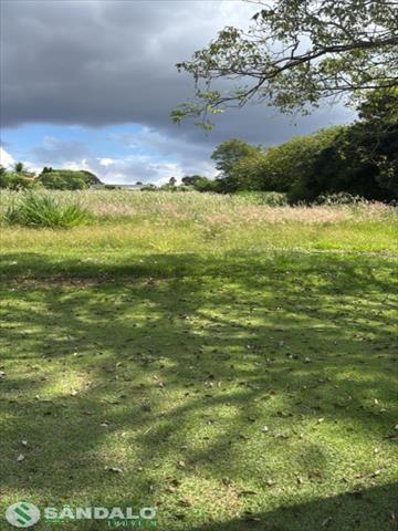 Chácara para venda no Parque Alvamar em Sarandi com 4.008m² por R$ 1.750.000,00