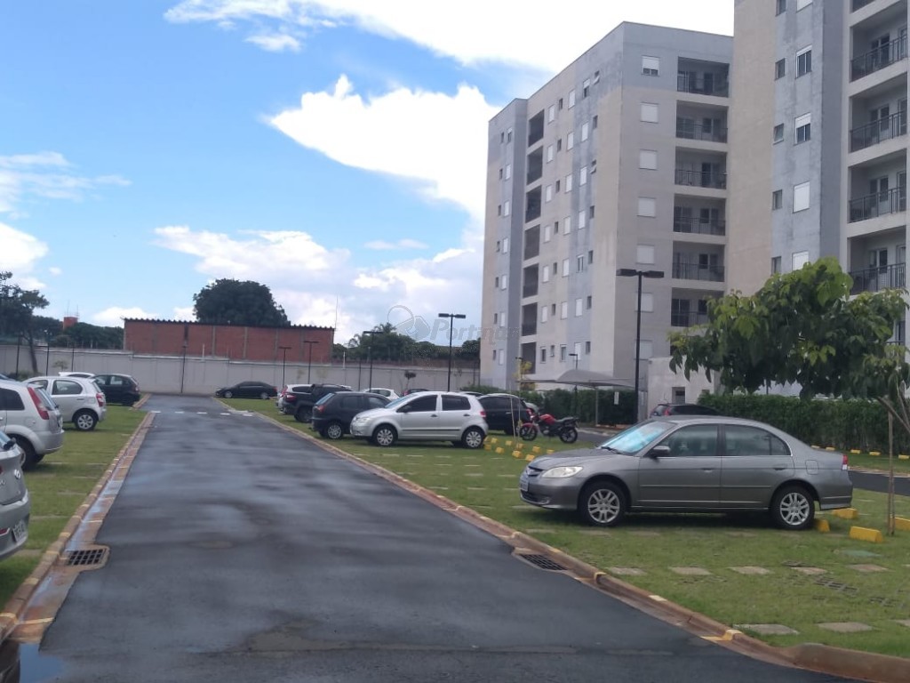 Apartamento para locacao no Chacara Antonieta em Limeira com 50m²