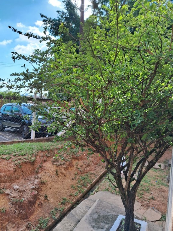 Apartamento para venda no Jardim Olga Veroni em Limeira com 50,78m²
