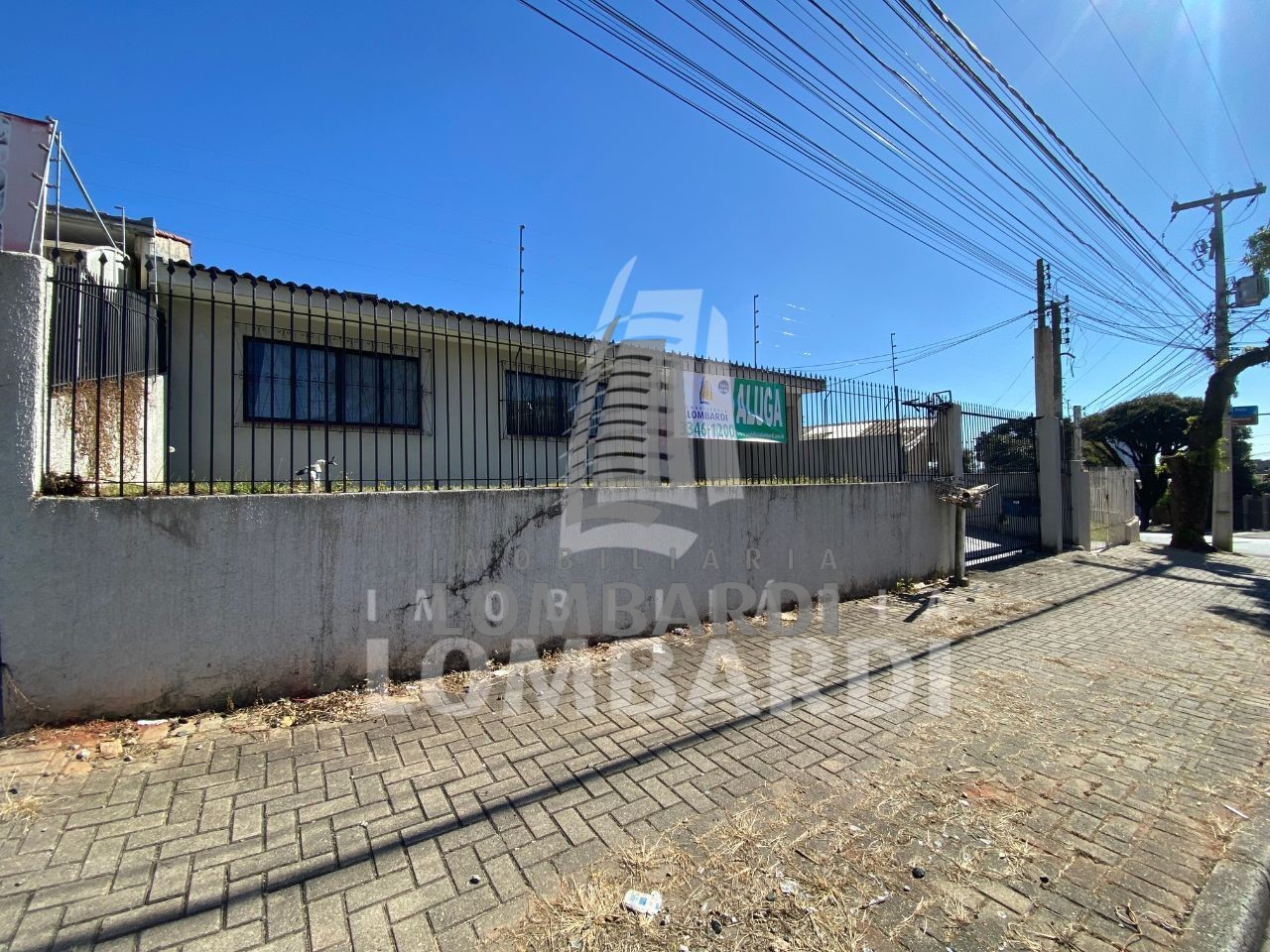 Design sem nome - 2025-08-01T121808.665.jpg