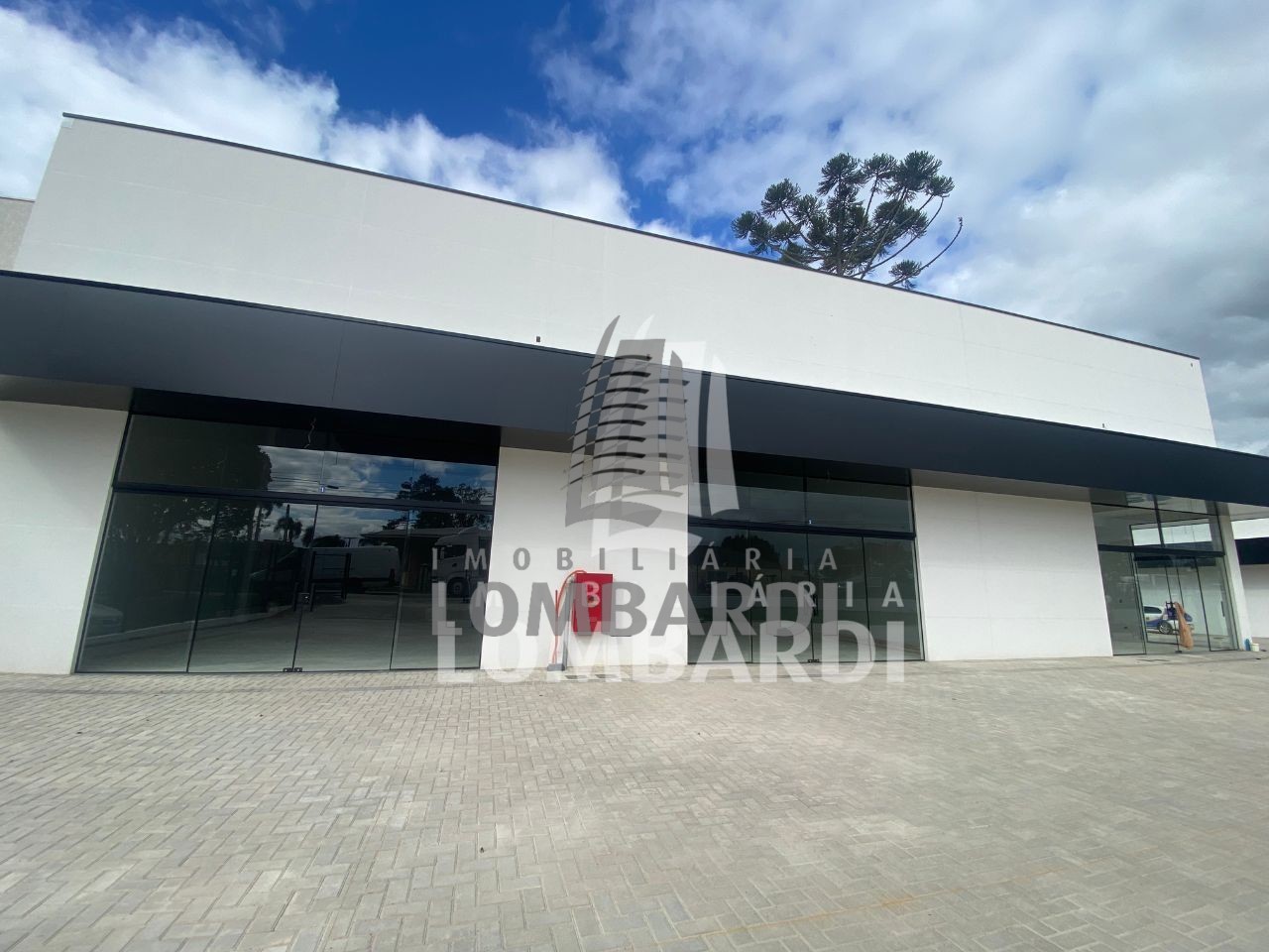 Loja no Campo de Santana em Curitiba - Design sem nome - 2025-10-23T084030.208.jpg