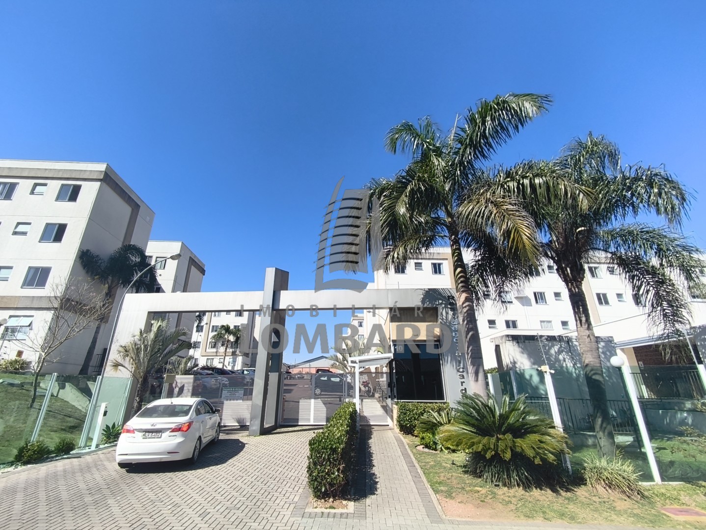 Apartamento no Pinheirinho em Curitiba - IMG_20260718_121254.jpg