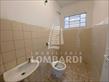 Design sem nome - 2025-08-01T165342.845.jpg