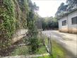 IMG_6838.jpeg
