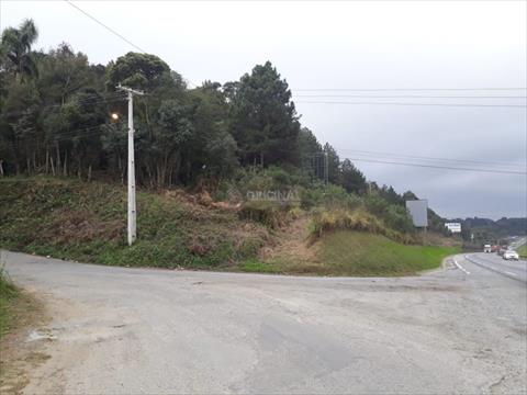 Area de Terreno no Jardim Emilia em Campo Largo Area de Terreno para venda no Jardim Emilia em Campo Largo com 62,227m² por R$ 3.000.000,00