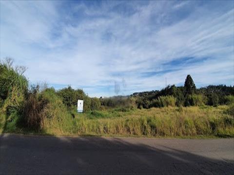 Terreno no Vila Santa Cruz em Castro Terreno para venda no Vila Santa Cruz em Castro com 0m² por R$ 115.000,00