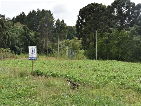 Terreno no Colonia Terra Nova em Castro Terreno para venda no Colonia Terra Nova em Castro com 0m² por R$ 55.000,00