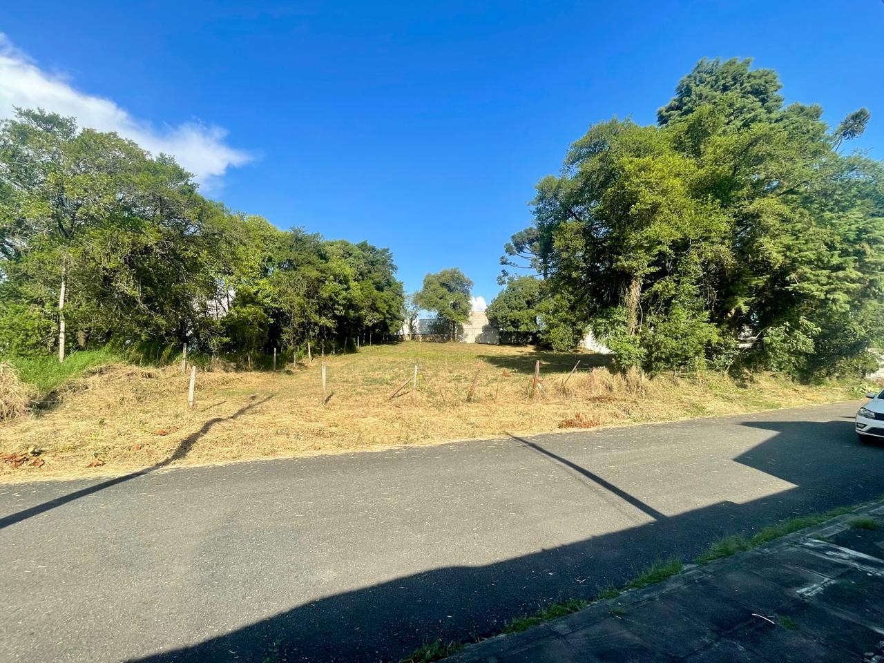 WhatsApp%20Image%202025-02-14%20at%2013.48.25%20%2811%29.jpe