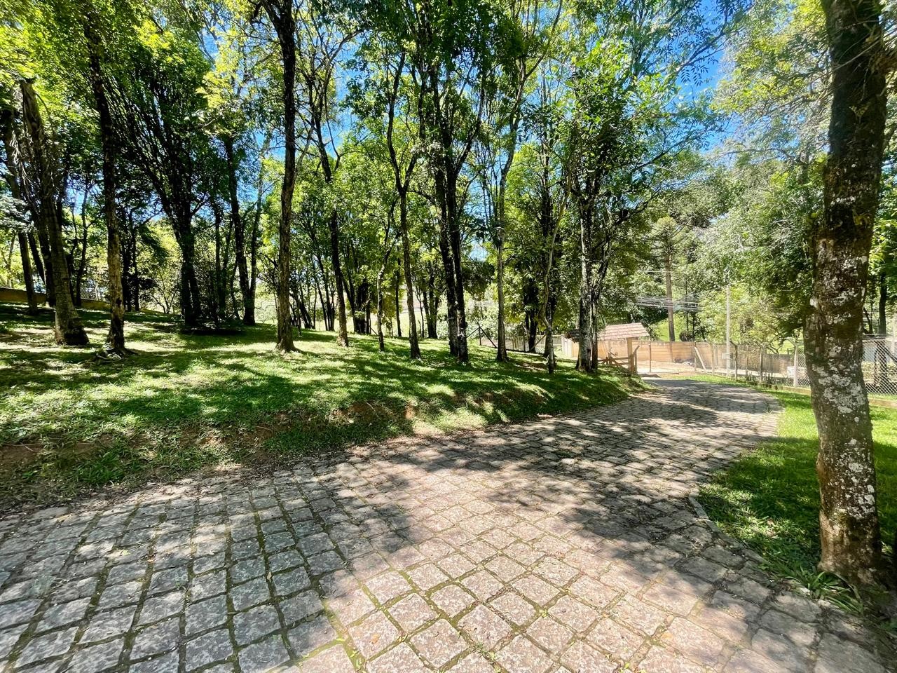 WhatsApp%20Image%202024-12-19%20at%2009.06.20%20%2811%29.jpe