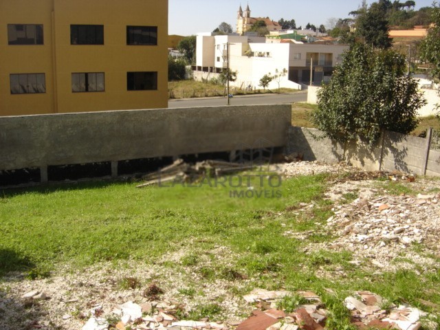 08.JPG
