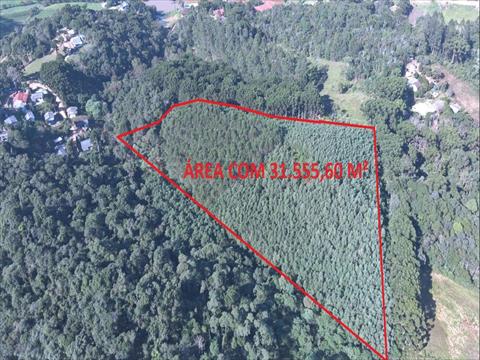 Área para venda no Boichininga em Almirante Tamandare com 0m² por R$ 280.000,00